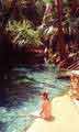 Mataranka Thermal Pools - Outback Australia