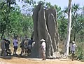 Giant Termite Mounds - Kakadu - Australia